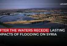 After the Waters Recede: Lasting Impacts of Flooding on Syria